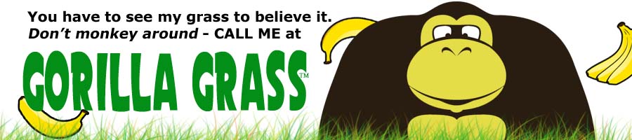 find out why california is going bananas